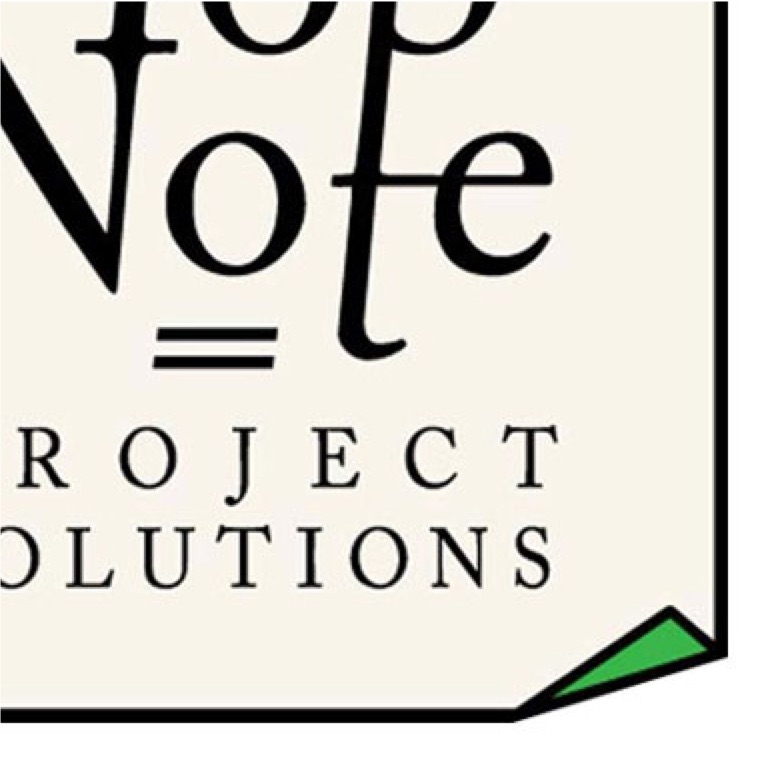 Financial Accounting • TOP NOTE PROJECT SOLUTIONS